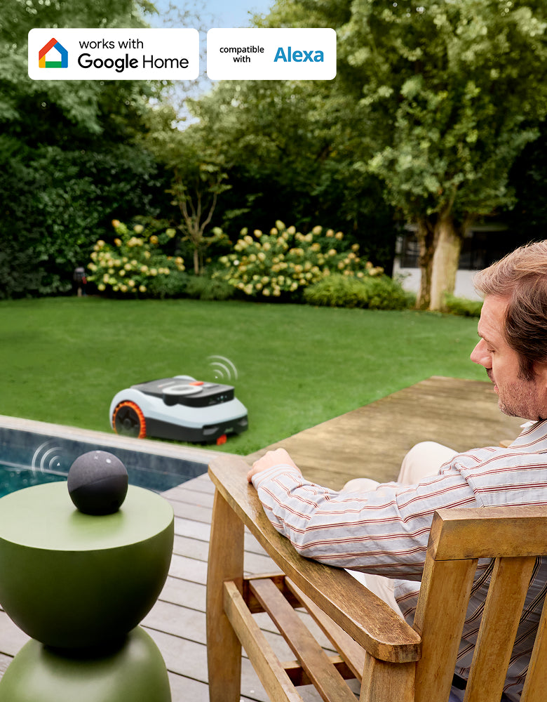 Segway Navimow i110E robot lawn mower mows the green grass.